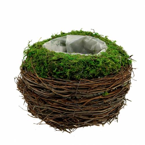 Floristik24 Augalinis dubuo rotangas, samanos Ø16cm H11cm