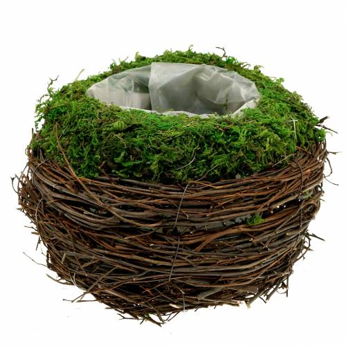 Floristik24 Sėjamosios dubuo rotangas, samanos Ø19cm H13cm