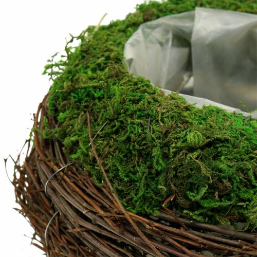 Floristik24 Sėjamosios dubuo rotangas, samanos Ø19cm H13cm