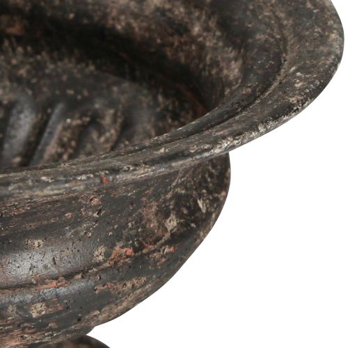 daiktų Augalų taurė Antique Look juoda ruda Ø20cm H15cm