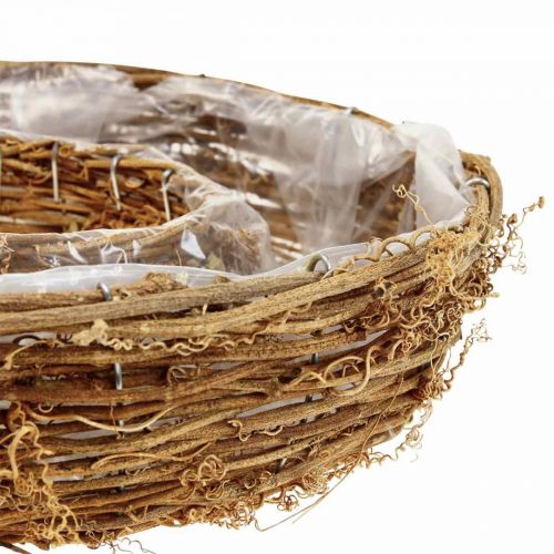 Floristik24 Vynmedžio žiedas, augalo dubuo Ø35/30cm rinkinyje 2 vnt