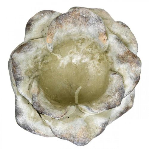 Floristik24 Rožių žiedas sodinimui, laidotuvių gėlės, akmeninė rožė, betono apdaila pilka, abrikosas, violetinė Ø11cm L22cm H9cm