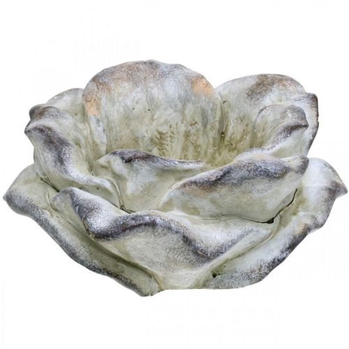Floristik24 Betoninė rožė, sodo puošmena, augalinė rožė, laidotuvių gėlės pilkos, abrikosinės, violetinės Ø12cm L26.5cm H11cm