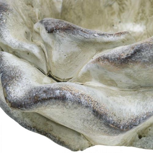Floristik24 Rožių žiedas sodinimui, laidotuvių gėlės, akmeninė rožė, betono apdaila pilka, abrikosas, violetinė Ø11cm L22cm H9cm