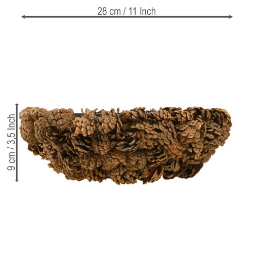 Floristik24 Augalų dubuo, tikri kankorėžiai, natūralus kūgio formos dubuo, Ø28cm, aukštis9cm
