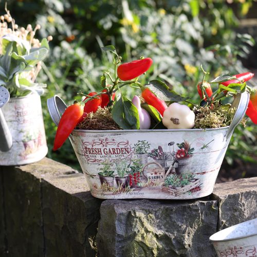 daiktų Metalinė sėjamoji ovali Fresh Garden 34,5x14x15,5 cm