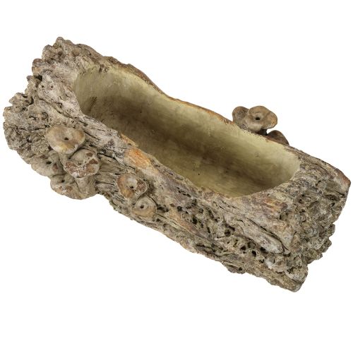 Vazonas iš lieto akmens, medžio kamienas su grybais, 36 × 18 × 12,5 cm