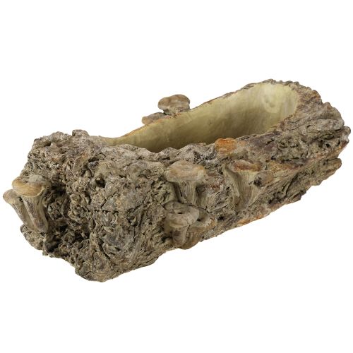 daiktų Vazonas iš lieto akmens, medžio kamienas su grybais, 36 × 18 × 12,5 cm