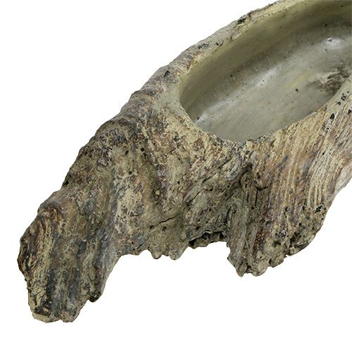 Floristik24 Sodinamoji sukulentams 24,5cm x 8,5cm H5,5cm