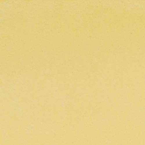 daiktų Augalų dubuo ovalus dekoratyvinis dubuo plastikinis geltonas 27×11×10cm 3vnt