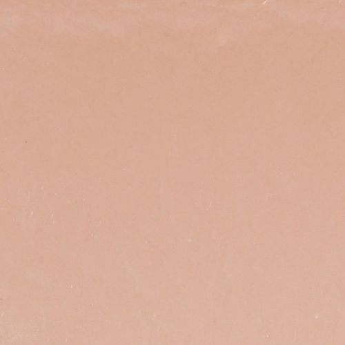 daiktų Augalų dubuo ovalus dekoratyvinis dubuo plastikinis rožinis rudas 20×10×11cm 3vnt