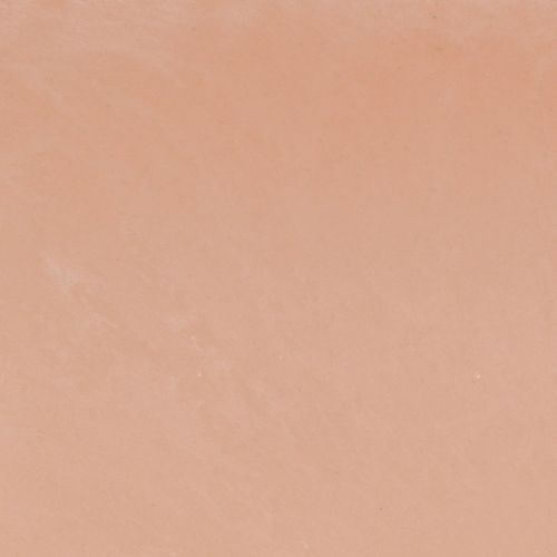 daiktų Augalų dubuo ovalus dekoratyvinis dubuo plastikinis rožinis rudas 27×11×10cm 3vnt