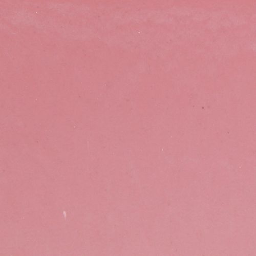 daiktų Augalų dubuo ovalus rožinis dekoratyvinis dubuo plastikinis 20×10×11cm 3vnt