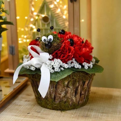 Floristik24 Augalų dubuo samanos/žievė apvali Ø15/20cm rinkinys po 2 vnt