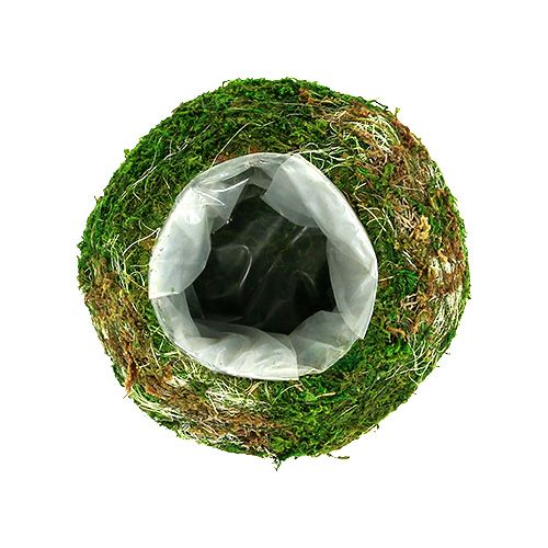 Floristik24 Augalų dubuo samanų dubuo Ø18cm 2vnt