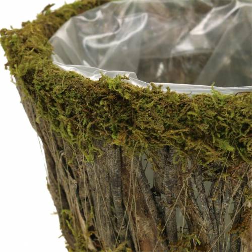 Floristik24 Augalų dubuo samanos/žievė apvali Ø15/20cm rinkinys po 2 vnt