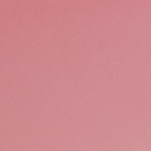 daiktų Augalų valtis plastikinis gėlių dubuo rožinis 28×9×9cm 3vnt