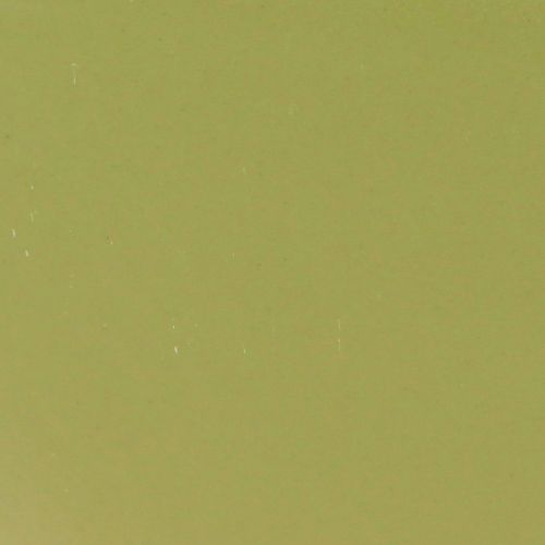 daiktų Augalų valtis plastikinis dekoratyvinis dubuo žalias 28×9×9cm 3vnt