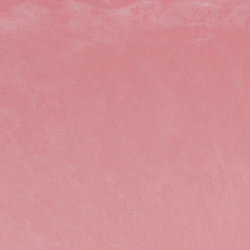 daiktų Sodinimo valties sodinimo dubuo ovalus rožinis 27×11×10cm 3vnt