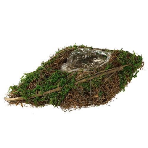 Vijoklių ir samanų sodinimo dubuo, 31 × 17 × 6 cm