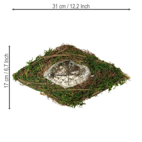 daiktų Vijoklių ir samanų sodinimo dubuo, 31 × 17 × 6 cm