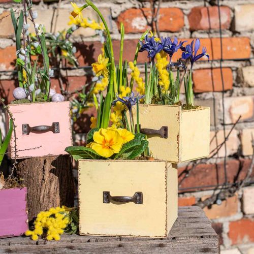 Floristik24 Augalų stalčių augalų dėžutė medinė geltona 12,5/16cm rinkinys iš 2