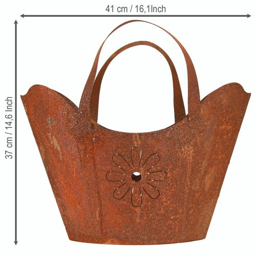 daiktų Augalų maišelis metalinis dekoratyvinis sodinukas rūdys su rankenomis H37cm