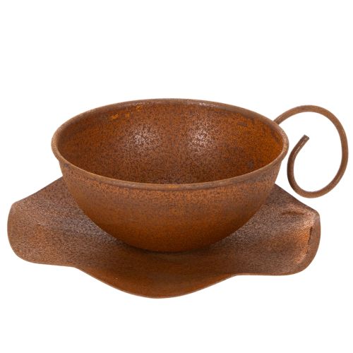 Sodo puodelis su lėkštute, vazonas, rūdžių spalvos, Ø19,5 cm, aukštis8 cm pirkti | Floristik24.lt