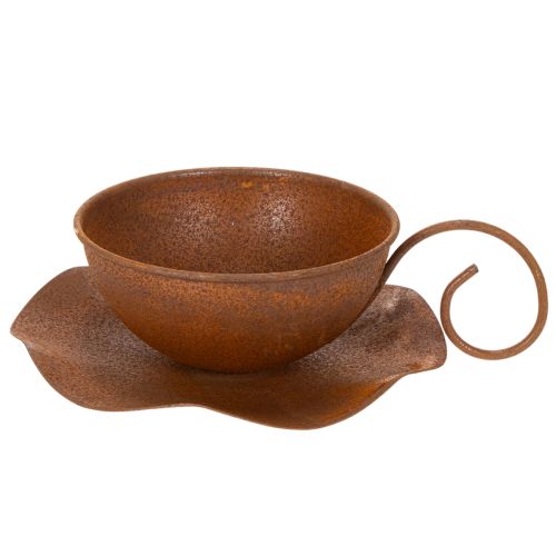 Sodo puodelis su lėkštute, vazonas, rūdžių spalvos, Ø19,5 cm, aukštis8 cm | Floristik24.lt