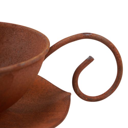 Floristik24 Augalinis puodelis su lėkšte vintažinėmis rūdimis Ø17,5cm H6cm