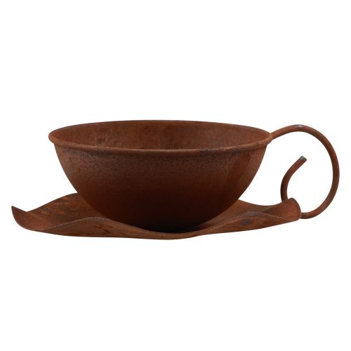 Floristik24 Augalinis puodelis su lėkšte vintažinėmis rūdimis Ø17,5cm H6cm