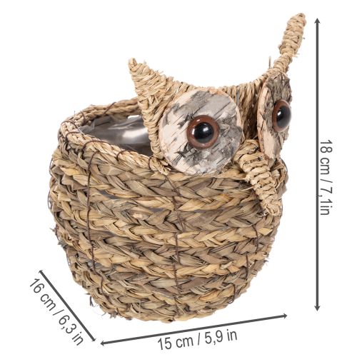 Rankomis pintas pelėdos formos krepšelis palangei, 18 cm | Floristik24.lt
