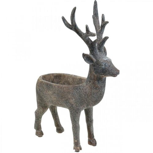 Floristik24 Dekoratyvinis elnio gėlių vazonas H39,5 cm