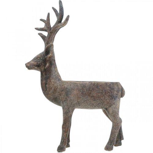 Floristik24 Dekoratyvinis elnio gėlių vazonas H39,5 cm