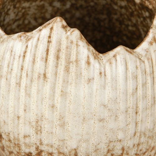 daiktų Augalų vazonas Keraminis kiaušinis skaldytas kreminis rudas Ø9,5cm 3 vnt