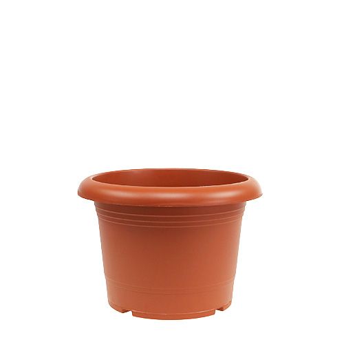 Floristik24 Terakotos vazonas "Oliver" Ø15cm