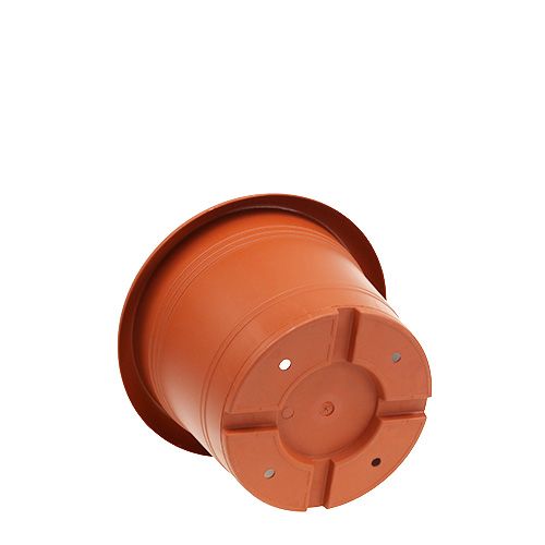 Floristik24 Terakotos vazonas "Oliver" Ø15cm