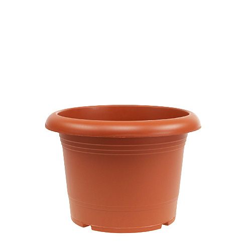 Floristik24 Terakotos vazonas "Oliver" Ø18cm, 1vnt