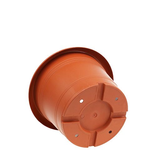 Floristik24 Terakotos vazonas "Oliver" Ø18cm, 1vnt