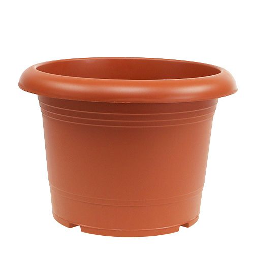 Floristik24 Terakotos vazonas “Oliver” Ø40cm