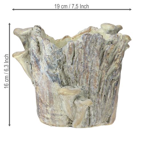 daiktų Vazonas iš lieto akmens su grybais, medžio kelmas, 16 cm