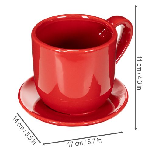Didelis dekoratyvinis puodelis su lėkštute, tinkantis kaip augalų vazonas, 17 cm | Floristik24.lt