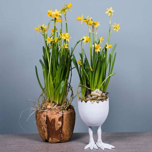 Floristik24 Kiaušinio lukšto vazonas su kojelėmis Ø13cm H21cm baltas