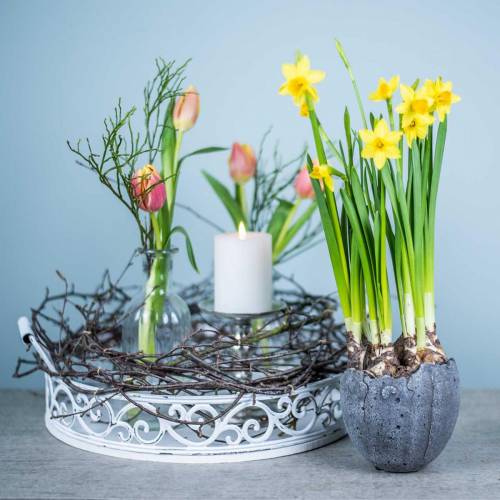 Floristik24 Sodų vazonas kiaušinio lukštas Ø12cm H11,5cm 6vnt