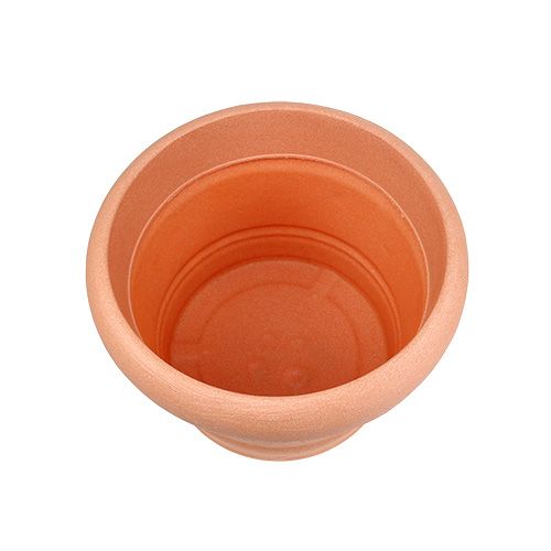 Floristik24 Vazonas augalams Terra Ø30cm H23cm, 1vnt