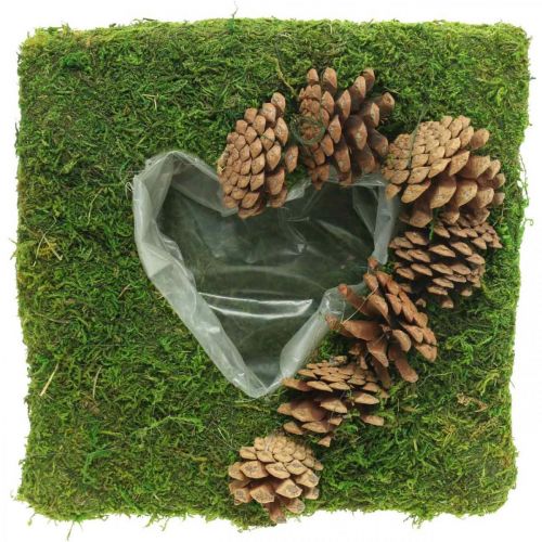 Augalų pagalvėlė širdies samanų ir kūgių kvadratas 25 × 25 cm