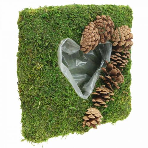 Floristik24 Augalų pagalvėlė širdies samanų ir kūgių kvadratas 25 × 25 cm