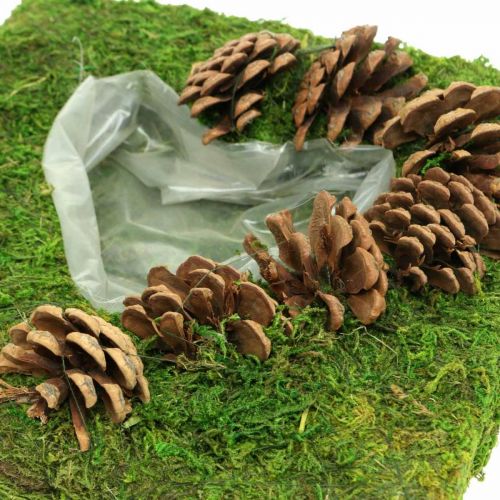 Floristik24 Augalų pagalvėlė širdies samanų ir kūgių kvadratas 25 × 25 cm