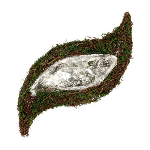 Pasodinkite bangines samanas su vynmedžiu 28cm x 30cm