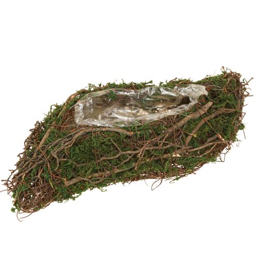 Mažas gėlių vazonas „Plant Wave Vines“ su samanomis, 31 × 15 × 7 cm